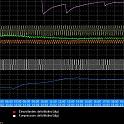 trend_#2024-02-13